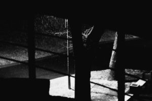 Moody black and white image of rain and trees seen through a window.